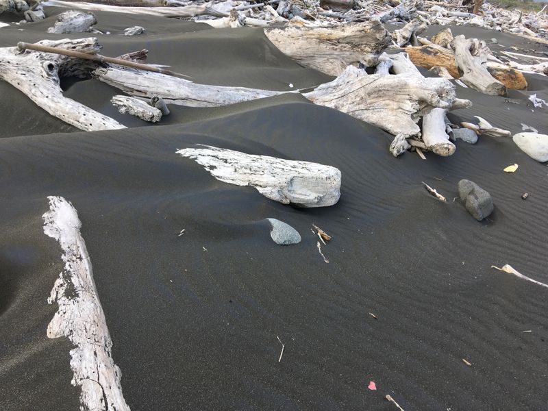 stray wood on a black beach