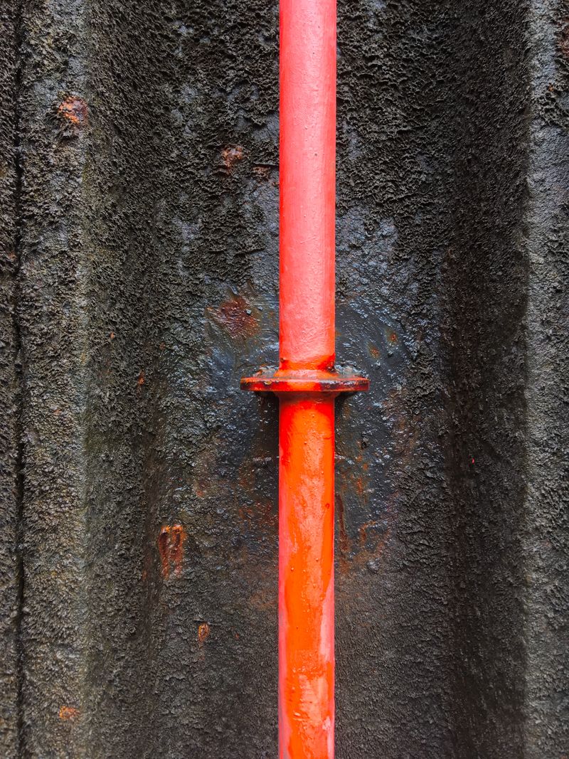 a vertical red bar in front of algae growing on the wall