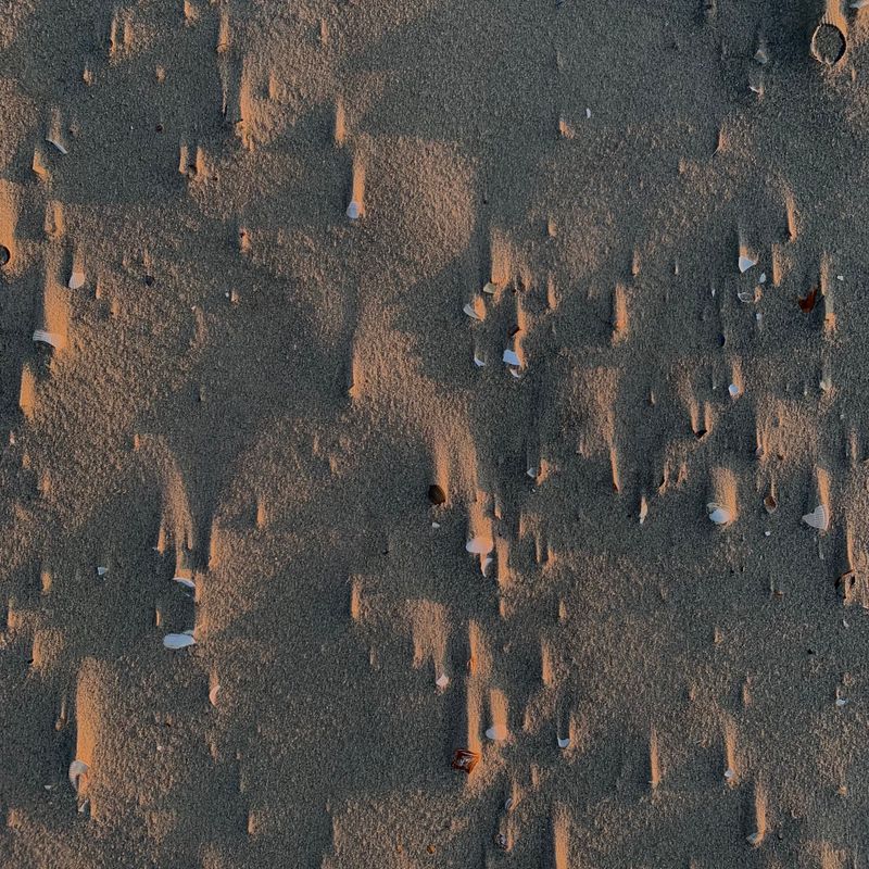 wind causing sand to accumulate behind shell fragments